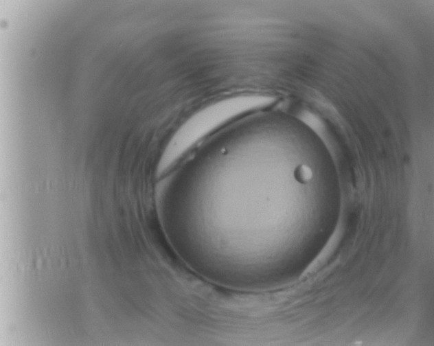 X0000073760029200608102057