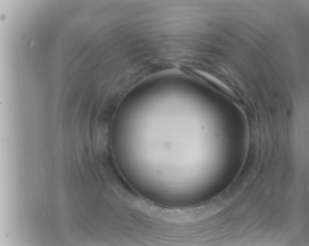 X0000073760030200608102057