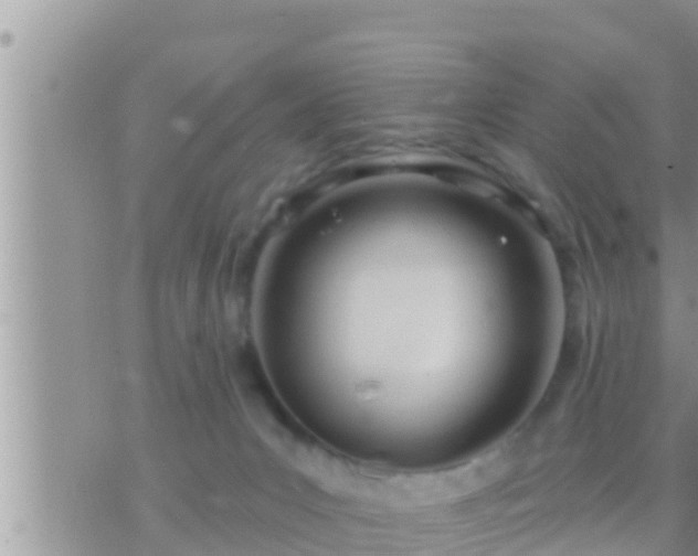 X0000073760031200608102057