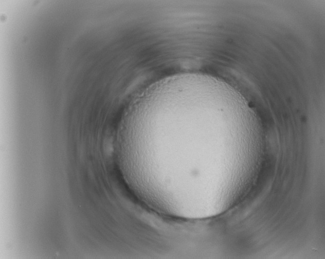 X0000073760032200608102057