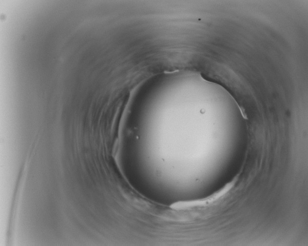 X0000073760033200608102057