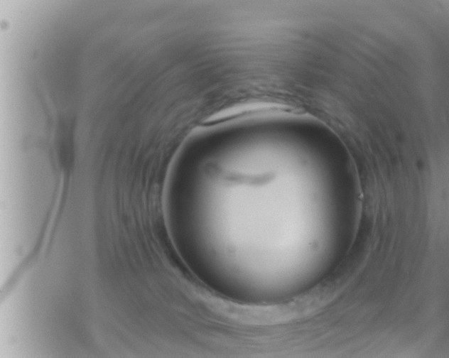 X0000073760034200608102057