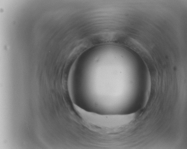 X0000073760035200608102057