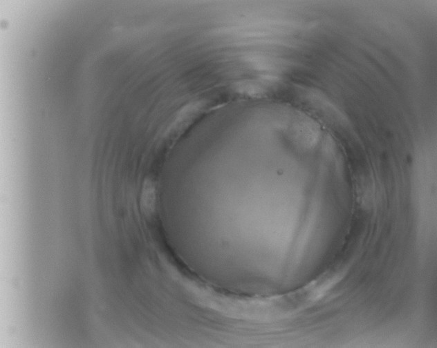 X0000073760036200608102057