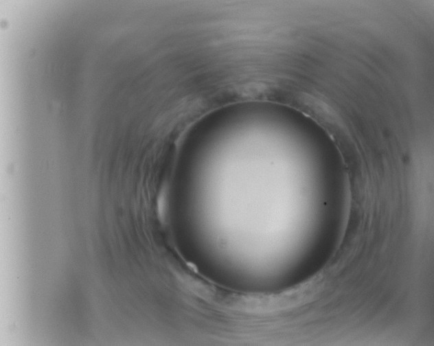 X0000073760037200608102057