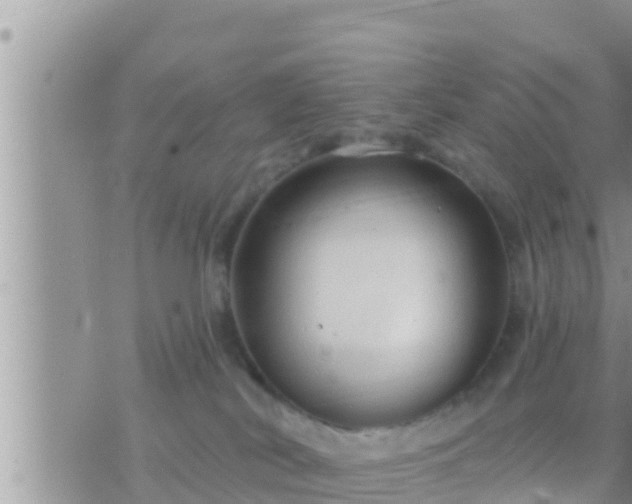 X0000073760038200608102056