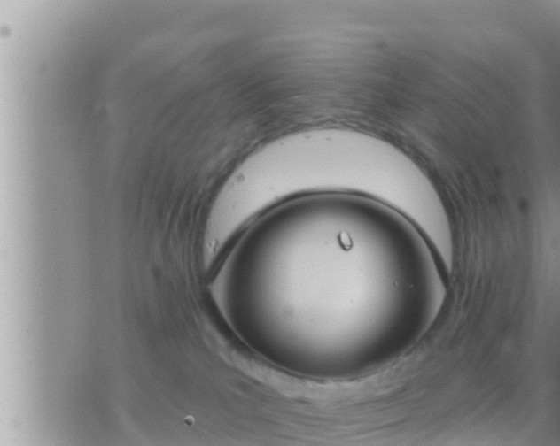 X0000073760039200608102056