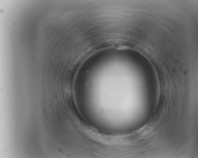 X0000073760040200608102056