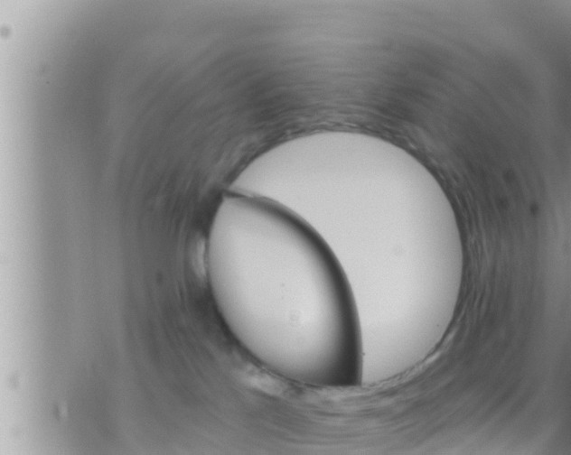 X0000073760041200608102056