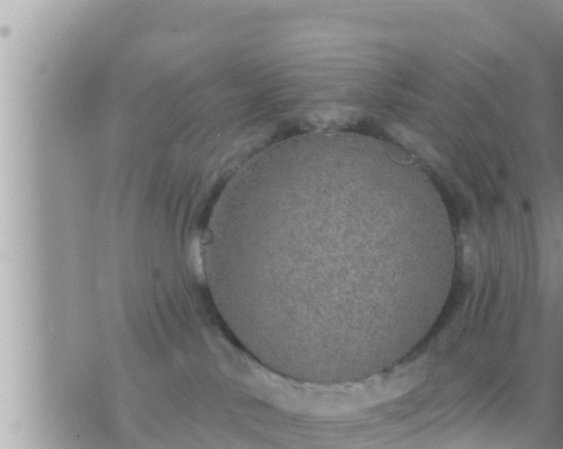 X0000073760042200608102056