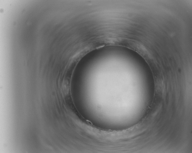 X0000073760043200608102056