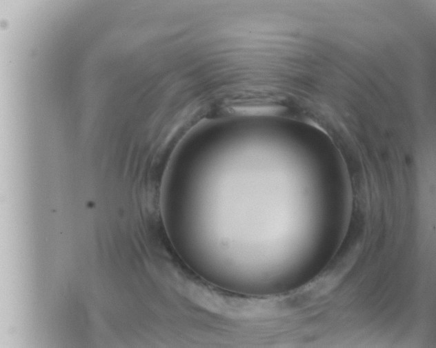 X0000073760044200608102056