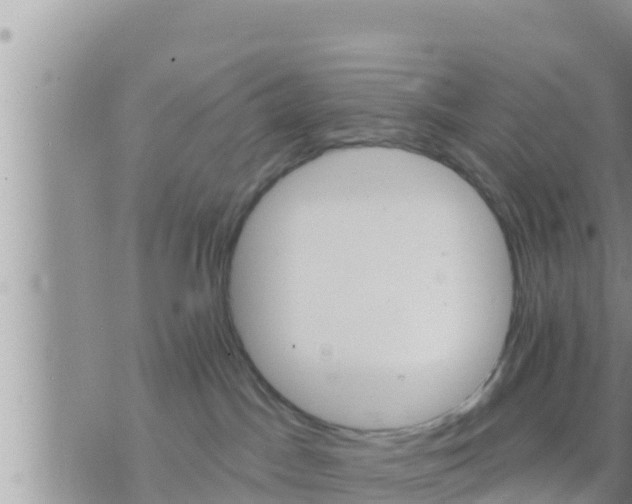 X0000073760045200608102056