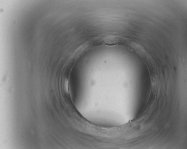 X0000073760046200608102056