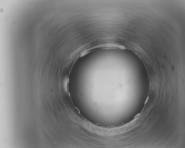 X0000073760047200608102056