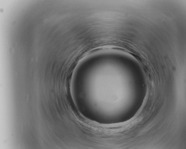 X0000073760048200608102056