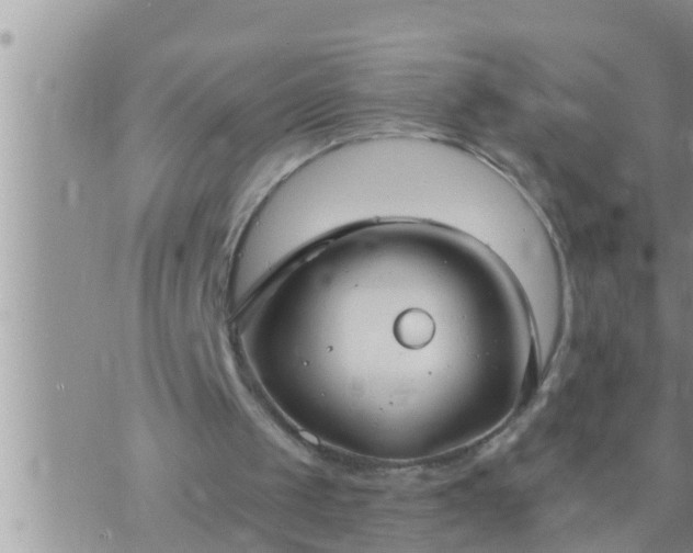 X0000073760049200608102056