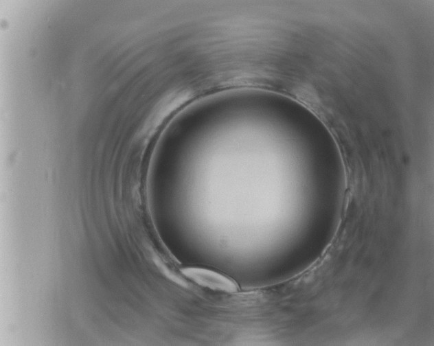 X0000073760050200608102056