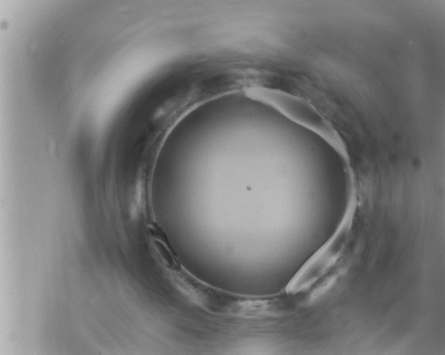 X0000073760052200608102056