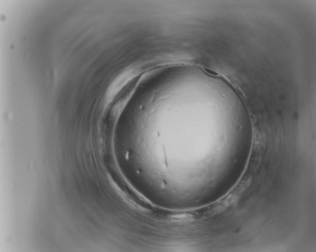 X0000073760053200608102056