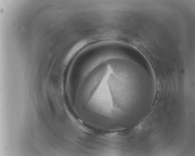 X0000073760054200608102056