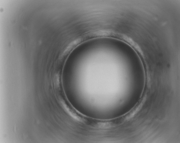 X0000073760057200608102056