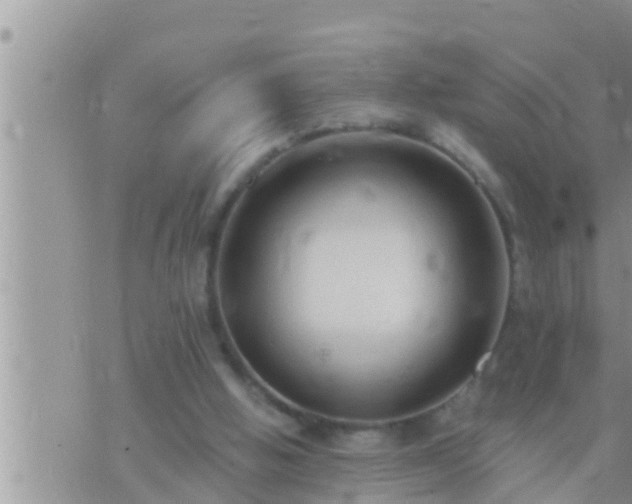 X0000073760058200608102056