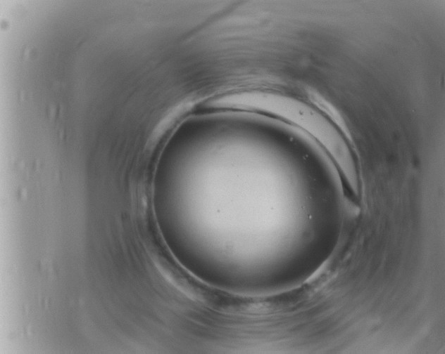 X0000073760059200608102056