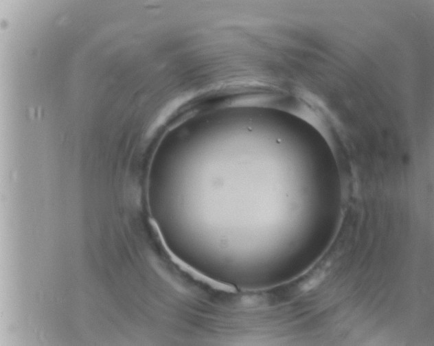 X0000073760060200608102056