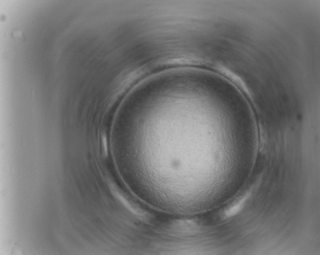 X0000073760061200608102056