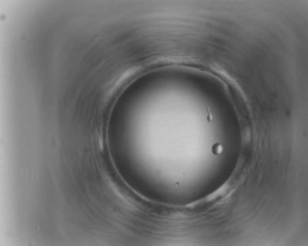 X0000073760062200608102056