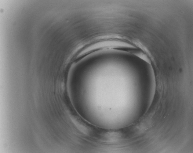 X0000073760063200608102056