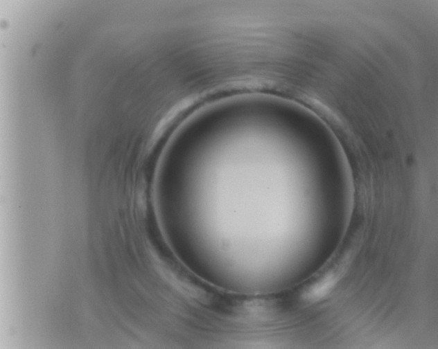 X0000073760064200608102056