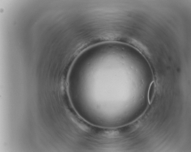 X0000073760065200608102056