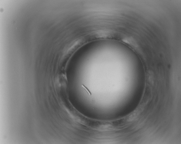 X0000073760066200608102056