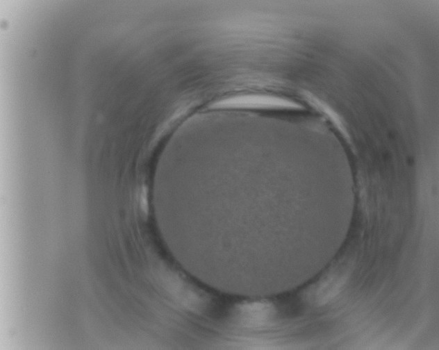 X0000073760067200608102056