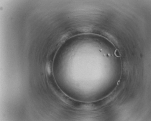 X0000073760069200608102056