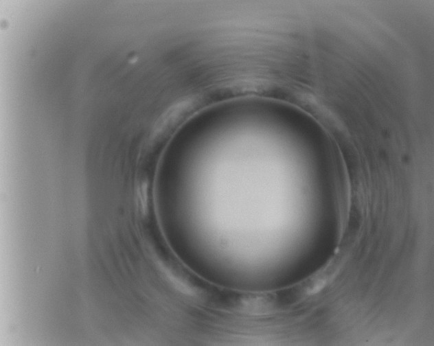 X0000073760070200608102056