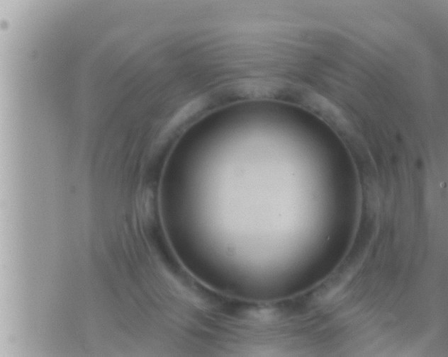 X0000073760071200608102056