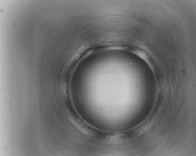 X0000073760072200608102056