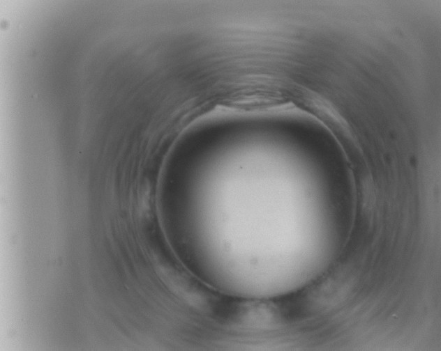 X0000073760073200608102056