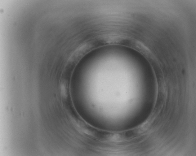 X0000073760074200608102056