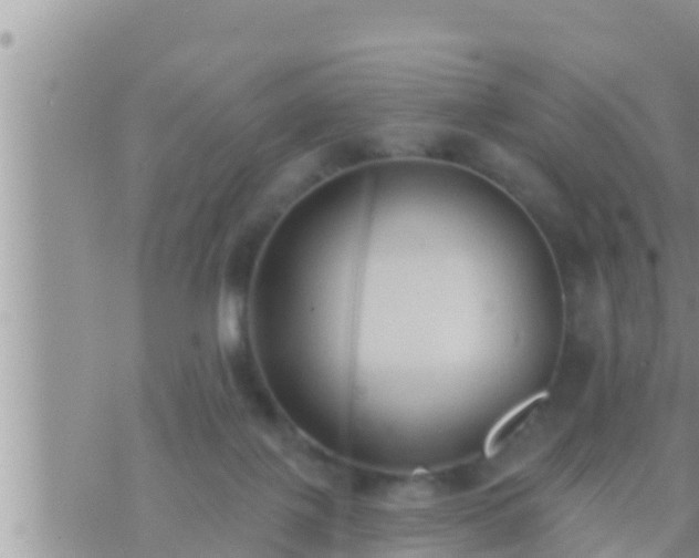 X0000073760075200608102056