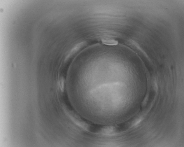 X0000073760076200608102056