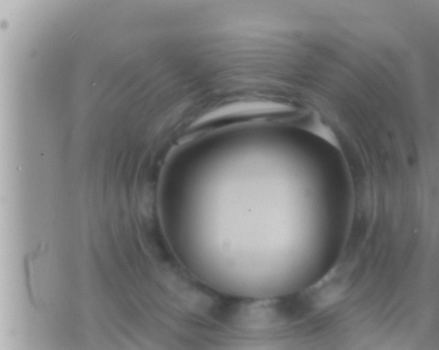 X0000073760078200608102056