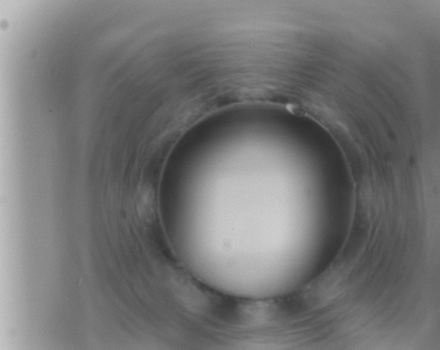 X0000073760079200608102056