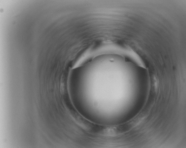 X0000073760080200608102056