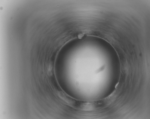 X0000073760082200608102056