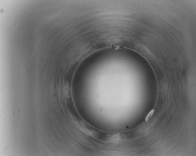 X0000073760083200608102056