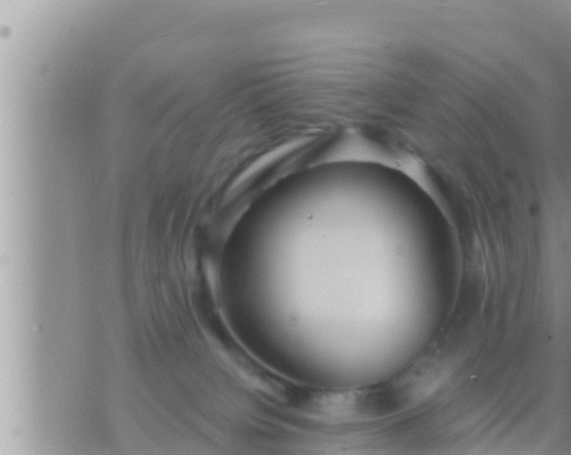 X0000073760084200608102056